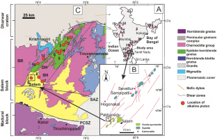 Mineralogy of Pakkanadu carbonatites and associated rocks, South India: constraints on evolution and evidences for REE enrichment