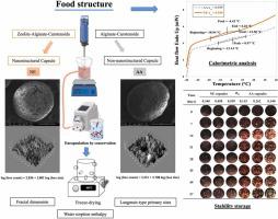 Food nanostructuring of paprika capsules obtained by coacervation for improving carotenoid storage stability