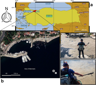 Assessing the Physical and Chemical Characteristics of Marine Mucilage Utilizing In-Situ and Remote Sensing Data (Sentinel-1, -2, -3)