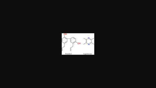 A drug-drug cocrystal and a co-amorphous form, prepared from honokiol and ligustrazine, inspired by Chinese patent medicine.