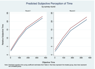 Effect of a brief intervention on respondents’ subjective perception of time and discount rates