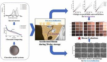 Effects of sucrose particle size on the microstructure and bloom behavior of chocolate model systems