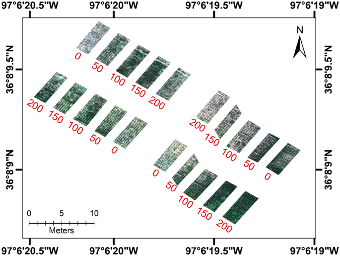 Application of UAS-Based Remote Sensing in Estimating Winter Wheat Phenotypic Traits and Yield During the Growing Season