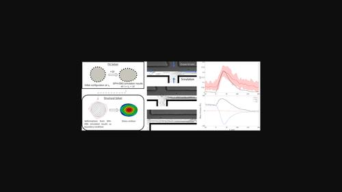 A coupled SPH-EBG numerical model for deformations of MCF7 cancer cell in a microchannel flow