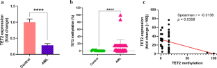 Lower Levels of TET2 Gene Expression, with a Higher Level of TET2 Promoter Methylation in Patients with AML; Evidence for the Role of Aberrant Methylation in AML Pathogenesis.