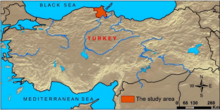 Comparing geographic information systems-based fuzzy-analytic hierarchical process approach and artificial neural network to characterize soil erosion risk indexes