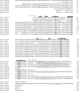 Genomic view of the origins of cell-mediated immunity.