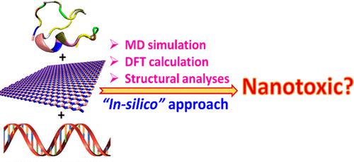 Screening 2D Materials for Their Nanotoxicity toward Nucleic Acids and Proteins: An In Silico Outlook