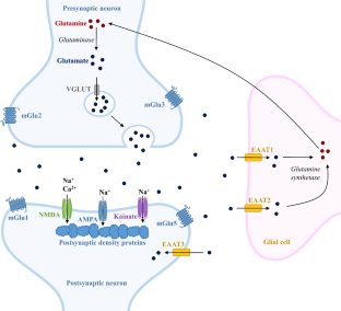 Alterations of the glutamatergic system in diabetes mellitus.