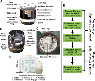 The Lunar One-Sixth Low Gravity Conduciveness to the Improvement of the Cold Resistance of Plants