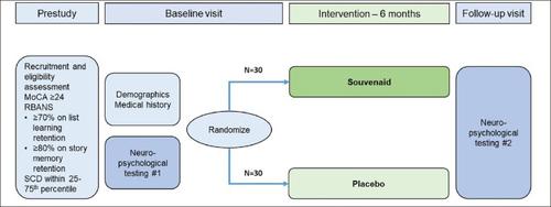 Reducing the Effects of Ageing on Cognition with Therapeutic Intervention of an Oral Multi-Nutrient: The REACTION Pilot Trial Study Design