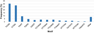 Novel Microsatellite Markers Derived from Arachis pintoi Transcriptome Sequencing for Cross-Species Transferability and Varietal Identification