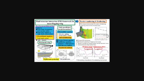 Computational fluid–structure interaction framework for passive feathering and cambering in flapping insect wings