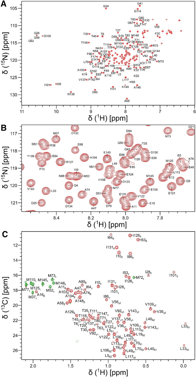 Chemical shift assignments of calmodulin bound to the GluN1 C0 domain (residues 841–865) of the NMDA receptor