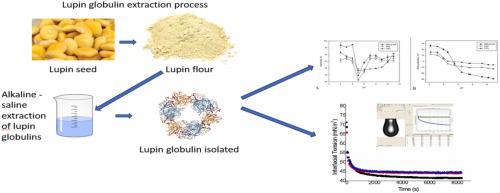 Evaluation of pH, NaCl and CaCl2 salts on Solubility, Zeta Potential and air - water interfacial properties of the protein isolate from lupin seeds