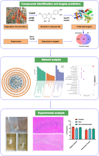 Isorhamnetin Alleviates the Depression Induced by Hindlimb Unloading in Rats