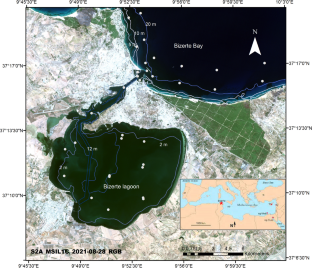 Remote Sensing of Turbidity in Optically Shallow Waters Using Sentinel-2 MSI and PRISMA Satellite Data