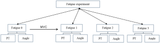 The Responses of Continuous Knee Passive Stiffness Following Fatigue