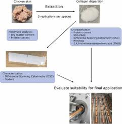 Effects of broiler weight and strain on skin collagen characteristics and their applicability for co-extruded sausage casings