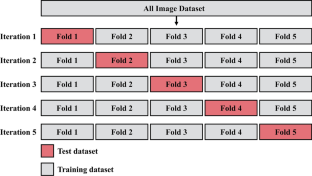 Deep Learning Model for Predicting Airway Organoid Differentiation.