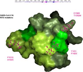 Acquired Immune Deficiency Syndrome correlation with SARS-CoV-2 N genotypes