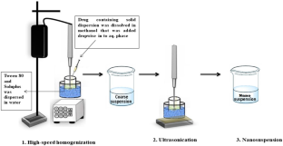 Preparation, Optimization, and Evaluation of Dolutegravir Nanosuspension: In Vitro and In Vivo Characterization