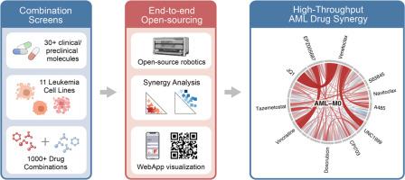 High-throughput approaches to uncover synergistic drug combinations in leukemia