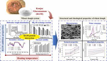 Effects of thermal-induced konjac glucomannan-protein interaction on structural and rheological properties of wheat dough