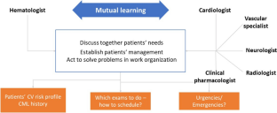 Cardiovascular Adverse Events of Tyrosine Kinase Inhibitors in Chronic Myeloid Leukemia: Clinical Relevance, Impact on Outcome, Preventive Measures and Treatment Strategies.