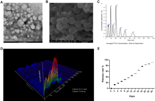 MiRNA320a Inhibitor-Loaded PLGA-PLL-PEG Nanoparticles Contribute to Bone Regeneration in Trauma-Induced Osteonecrosis Model of the Femoral Head.