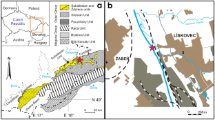 Multi-stage alteration history of volcanic clasts containing buddigtonite from Upper Cretaceous strata of the Subsilesian Unit, Czech part of the Outer Flysch Carpathians