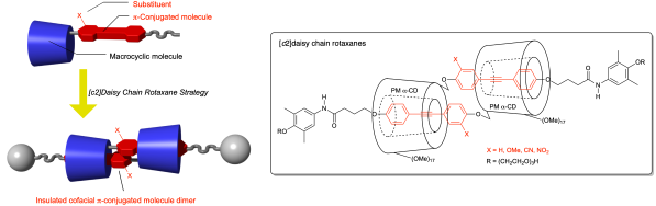 Encapsulation of Cofacial Diarylacetylene Dimers Using [