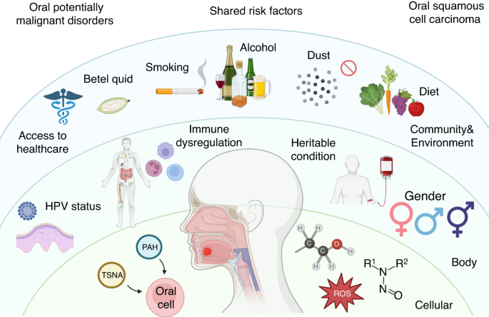 Oral squamous cell carcinomas: state of the field and emerging directions.