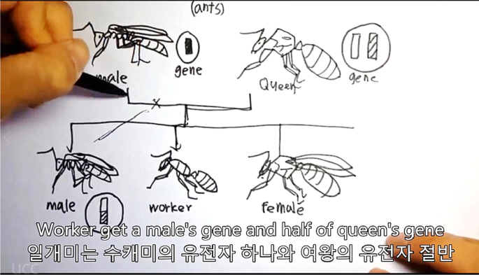 An exploratory study on learner agency and second language writing practices of Korean high school students