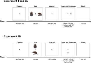 Visual images of disgusting creatures facilitated attentional orienting and delayed attentional disengagement.