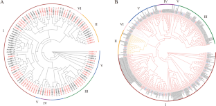 Genome-Wide Identification and Characterization of the SBT Gene Family in maize and Its Expression in the Various tissues