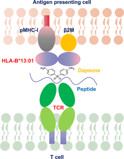 Overview and Current Advances in Dapsone Hypersensitivity Syndrome.