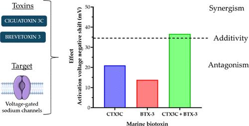 Synergistic Effect of Brevetoxin BTX-3 and Ciguatoxin CTX3C in Human Voltage-Gated Nav1.6 Sodium Channels