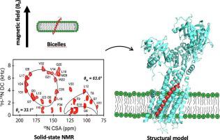 Solid-state NMR spectroscopy for structural studies of polypeptides and lipids in extended physiological membranes