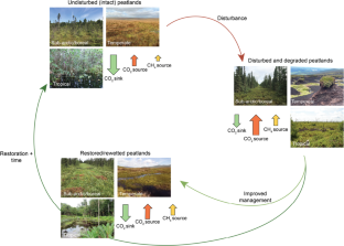 The Potential of Peatlands as Nature-Based Climate Solutions