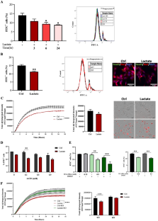 HCAR1-Mediated l-Lactate Signaling Suppresses Microglial Phagocytosis