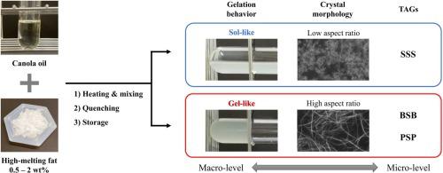 Development of healthier and industrially applicable oleogel with low saturated fatty acid content using a small amount of high-melting fat