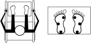 Effects of different handrail heights and initial foot angles on kinematics and kinetics in healthy adults during the sit-to-stand movement