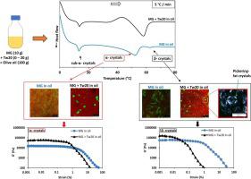 Effect of Tween 20 on structure, phase-transition behavior and mechanical properties of monoglyceride oleogels