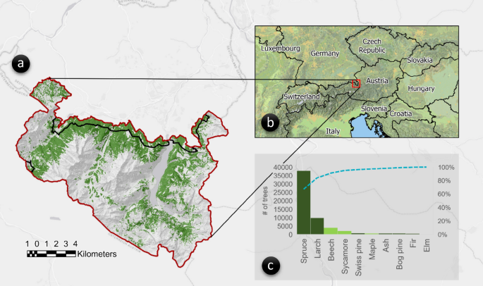 Uncovering Early Traces of Bark Beetle Induced Forest Stress via Semantically Enriched Sentinel-2 Data and Spectral Indices