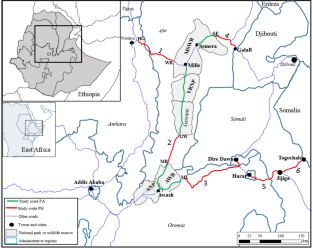 Examining vertebrate road mortality on highways passing through protected areas of eastern Ethiopia