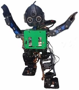 Voice controlled humanoid robot