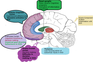 Targeting inflammatory signaling in obsessive compulsive disorder: a promising approach.