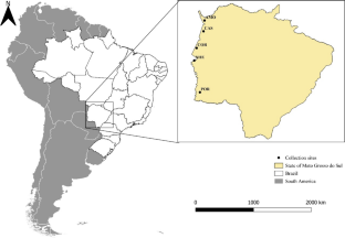 Population Genomics and Conservation of Copernicia alba: a Non-Timber Palm of Economic Importance in the Brazilian Chaco