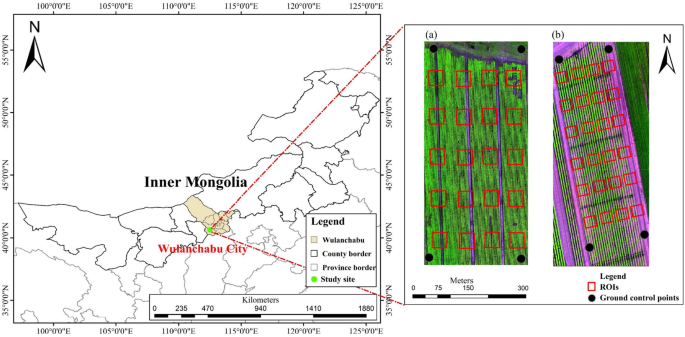 Multi-temporal UAV Imaging-Based Mapping of Chlorophyll Content in Potato Crop